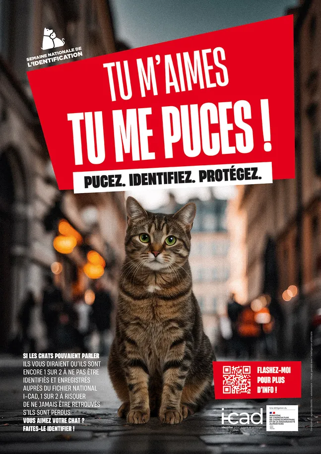 Semaine nationale de l'identification