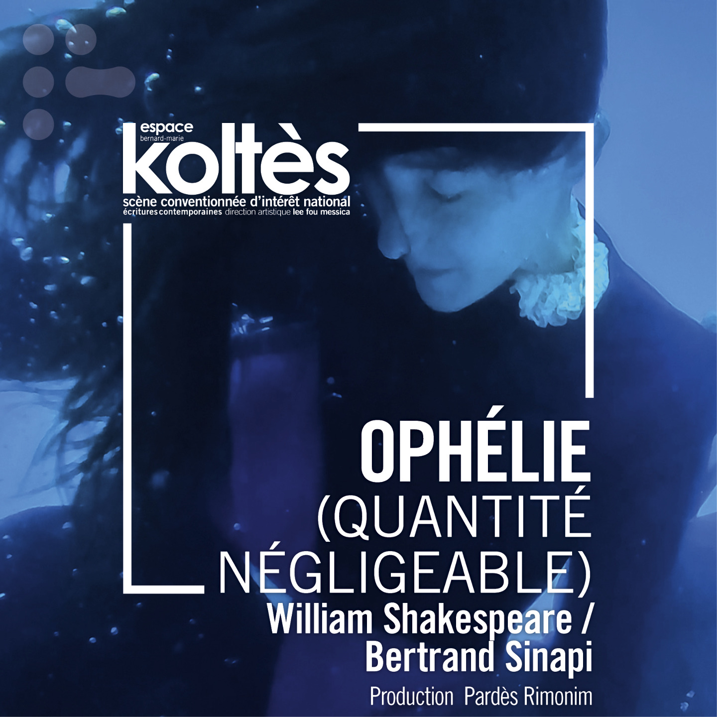 Ophélie (Quantité négligeable)